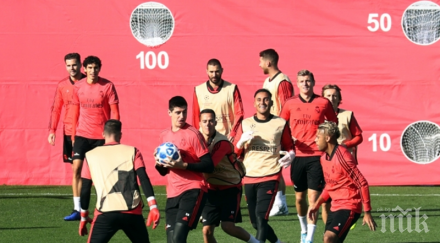 екшън кралете видео