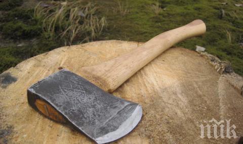 Съсякоха с брадва възрастен мъж в дома му