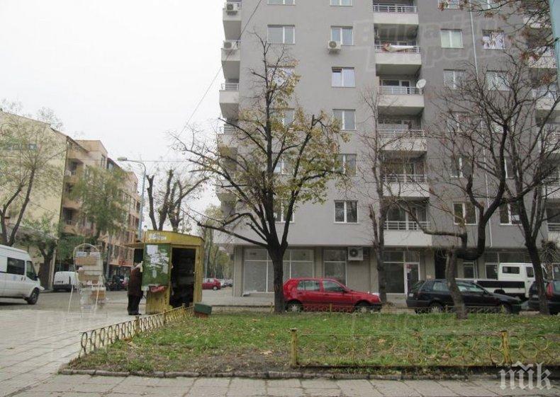 Пострадала пловдивчанка търси свидетели на грозна сцена в Кючука