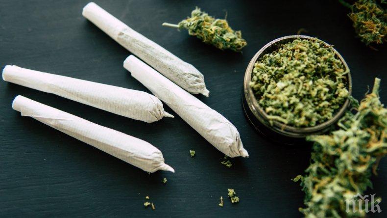 Арестуваха кандидат-президент в Грузия - раздавал марихуана