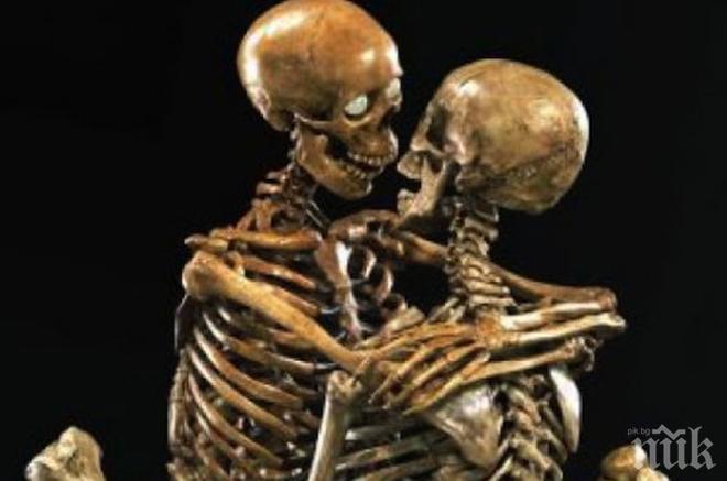 ДОБРА НОВИНА! Спасиха уникалния човешки скелет Лусия oт опожарения музей в Рио