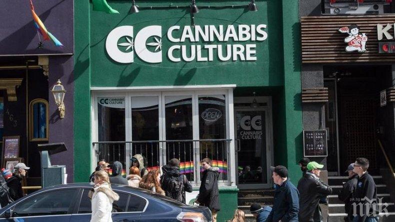 Свърши марихуаната в Канада - на петия ден след легализацията 