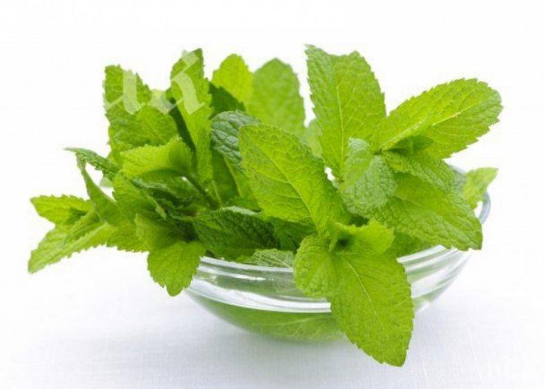 МИСТИКА: Ето как да изгоните уроките и магиите от дома си 