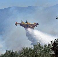 Огромният пожар продължава да вилнее на Халкидики (СНИМКИ)
