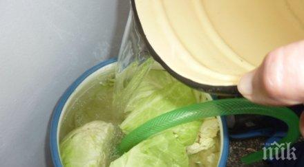 проучване зимнината гълта стотачки