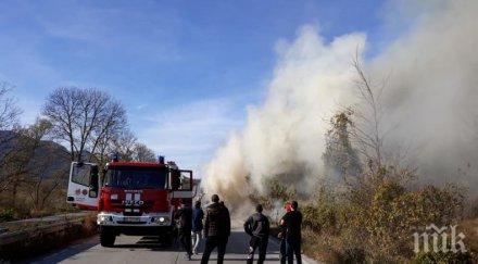 автобус запали мездра снимки