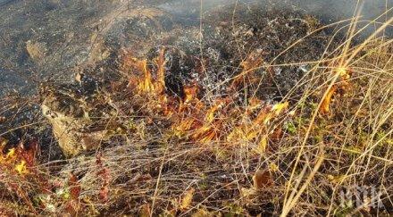 стихия голям пожар врачанското село струпец хората изкараха безсънна нощ