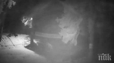 зимата пак запука снежна буря изви района хижа алеко