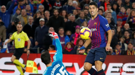 шок кралете камп ноу