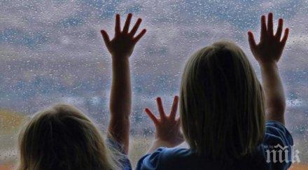 семейства осиновили 578 деца година