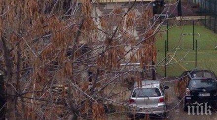 сигнал пик превърнаха детска градина центъра софия частен паркинг