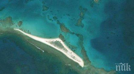 ураган погълна остров редки видове тихия океан