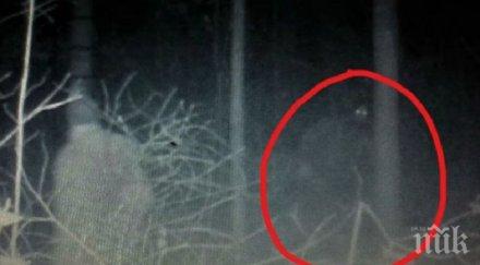 мистериозно ловец видя странно същество гората мистици спорят дали йети извънземно видео