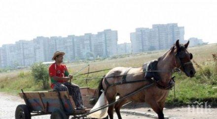 пратиха съд мъж убил коня годишно дете
