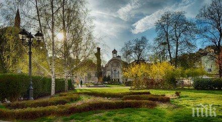 холандски експерт софия един зелените градове