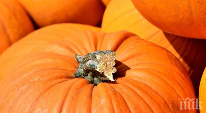 80-годишна баба отгледа 70-килограмова тиква в Разлог