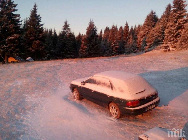 Родопите осъмнаха със снежна покривка (СНИМКИ)