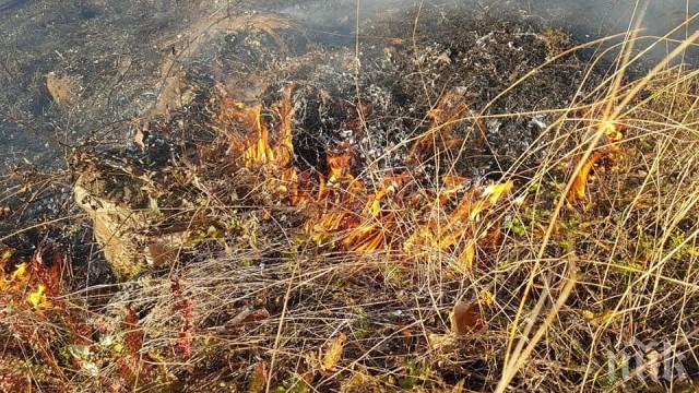 СТИХИЯ: Голям пожар край врачанското село Струпец, хората изкараха безсънна нощ