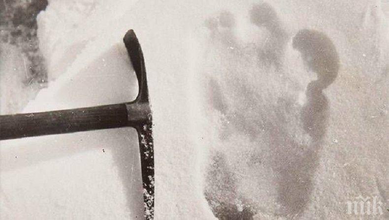 Шокираща история за Йети витае около Еверест