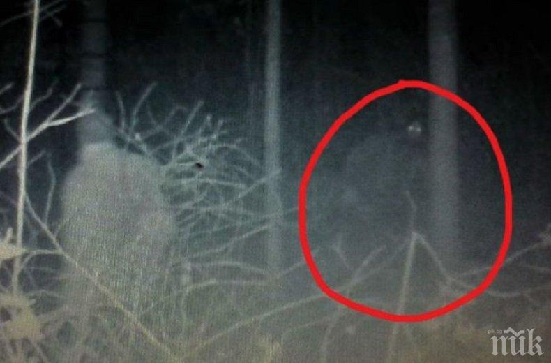 МИСТЕРИОЗНО: Ловец видя странно същество в гората, мистици спорят дали е Йети или извънземно (ВИДЕО)