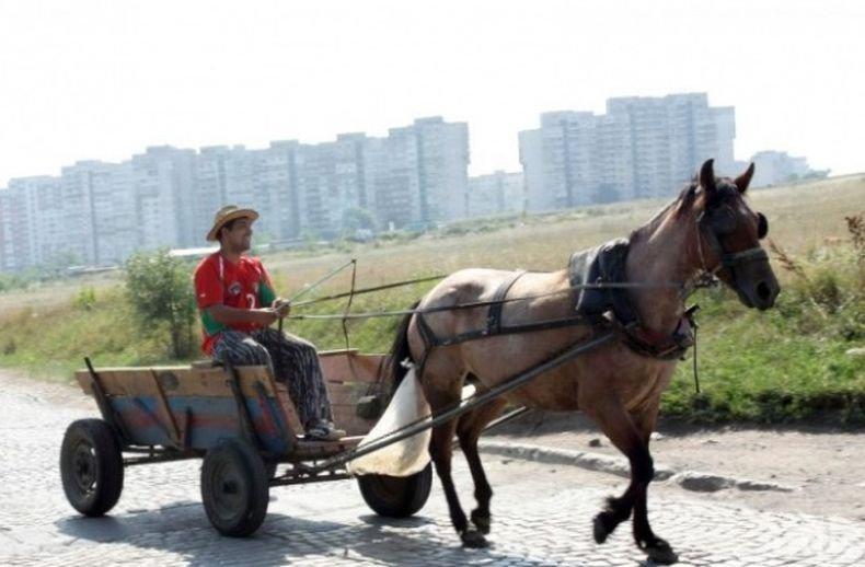 Пратиха на съд мъж, убил с коня си 2-годишно дете