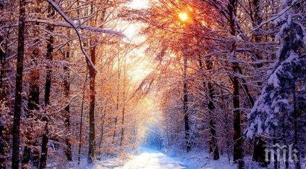 климатолог разкри европа радва топла зима