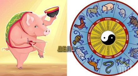 годината свинята идва очаква февруари 2019