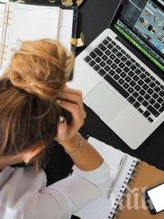 търсят работа хората онлайн приложение