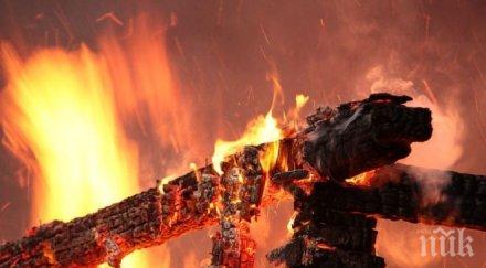 огнен пироман драсна клечката кошара изгори живи кози
