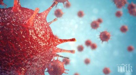 находка учени откриха вирус бори рака