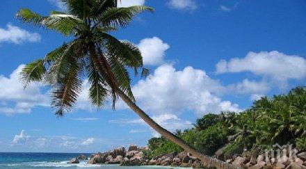 пик искате прекарате празниците малдивите австралия или…в космоса вижте