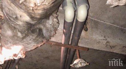 откриват ремонтирания дом ветераните културата изкуството софия тънеше мизерия снимки