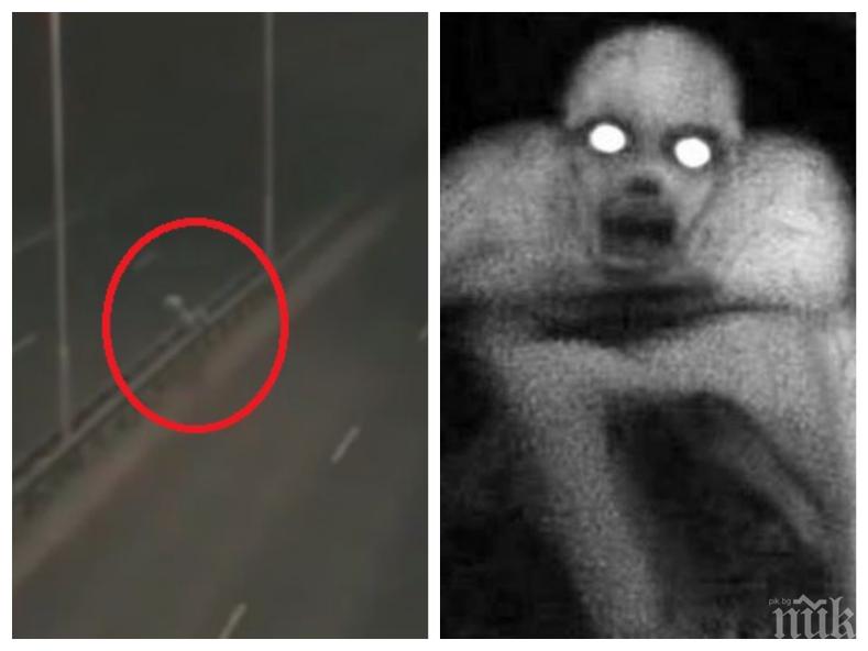 МИСТЕРИЯ: Странно създание изскочи посред нощ на пътя, местните са ужасени (СНИМКИ)