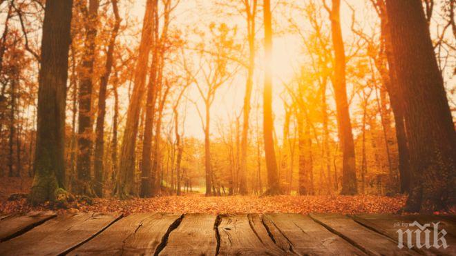 Втори температурен рекорд за месеца регистрираха в Силистра