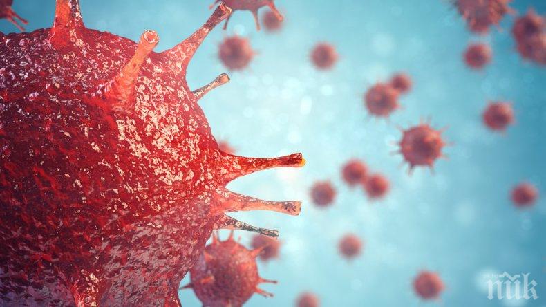НАХОДКА: Учени откриха вирус, който се бори с рака
