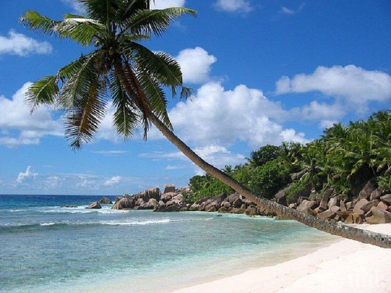 САМО В ПИК: Искате да прекарате празниците на Малдивите, в Австралия или…в космоса? Вижте как!