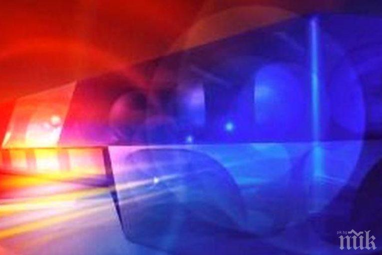 Жена и двама мъже нахлуха в склад за дърва, пребиха работниците със сопи