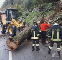 Нови жертви на опасното време в Италия - загиналите са вече 17 (СНИМКИ/ВИДЕО)