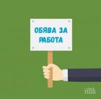 криза служители търсят изпълнителен директор бюрото труда благоевград