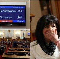 Наглите хрантутници без заплати и аут от парламента - Караянчева работи, колкото саксийно цвете