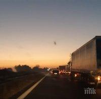 МЕЛЕ: Жестока катастрофа между тир и няколко коли стана на магистрала 