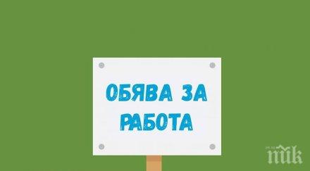 криза служители търсят изпълнителен директор бюрото труда благоевград