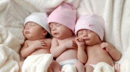 рекорд семейство добрич сдоби момиченца тризнаци