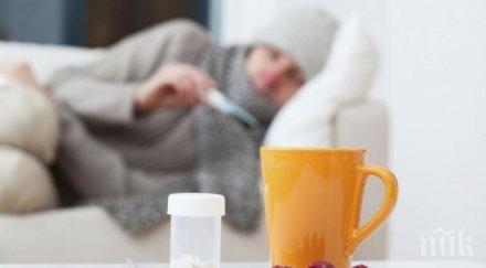 топлото време отложи грипа