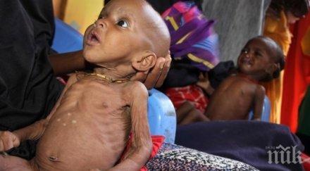 оон тревожни данни 486 милиона азия недохранени