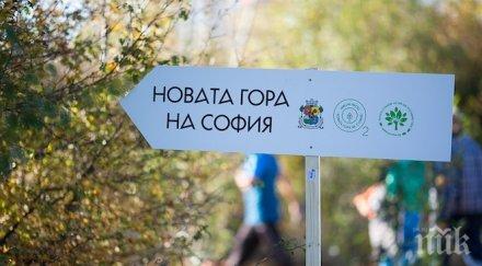 автобус новата гора софия върви събота неделя