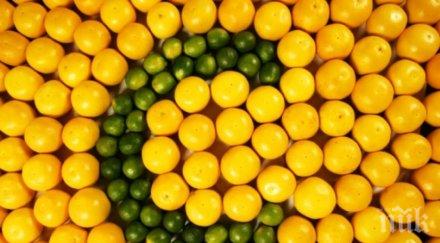 шок сто българите страдат недостиг витамин