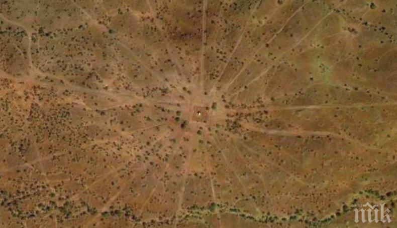 МИСТЕРИЯ: Откриха загадъчна древна структура на Хаваите (ВИДЕО)