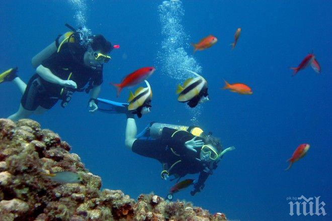 Руски водолази се спуснаха на 416 м дълбочина
