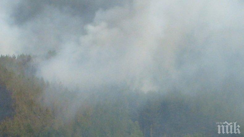 ОГНЕН АД! Горски пожар бушува край Белица